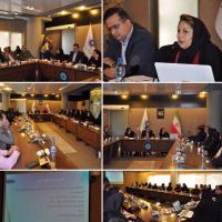 نشست تخصصی اقتصاد هنر و نوآری در صنایع دستی سخنران خانم  کازرونی دی ماه 95